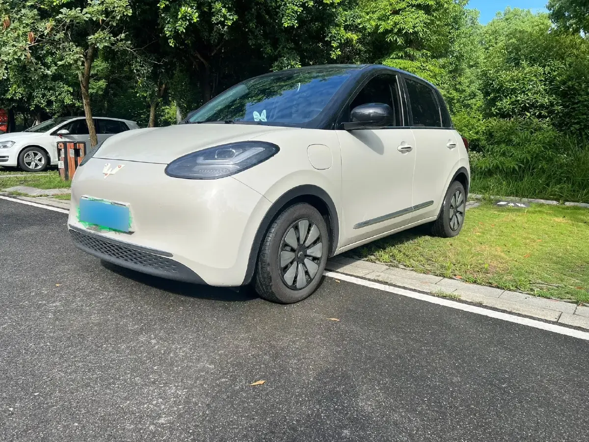 2023 WuLing BinGuo BEV 37.9KWH