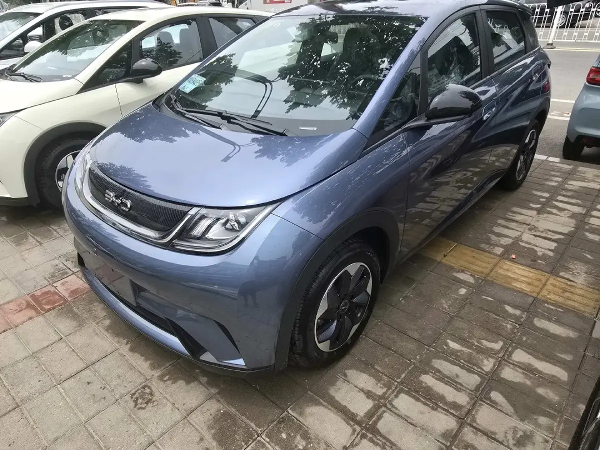 2025 BYD Dolphin BEV 44.928KWH