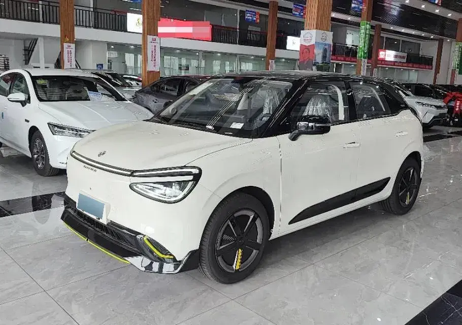 2024 DongFeng Nammi 01 BEV 42.3KWH