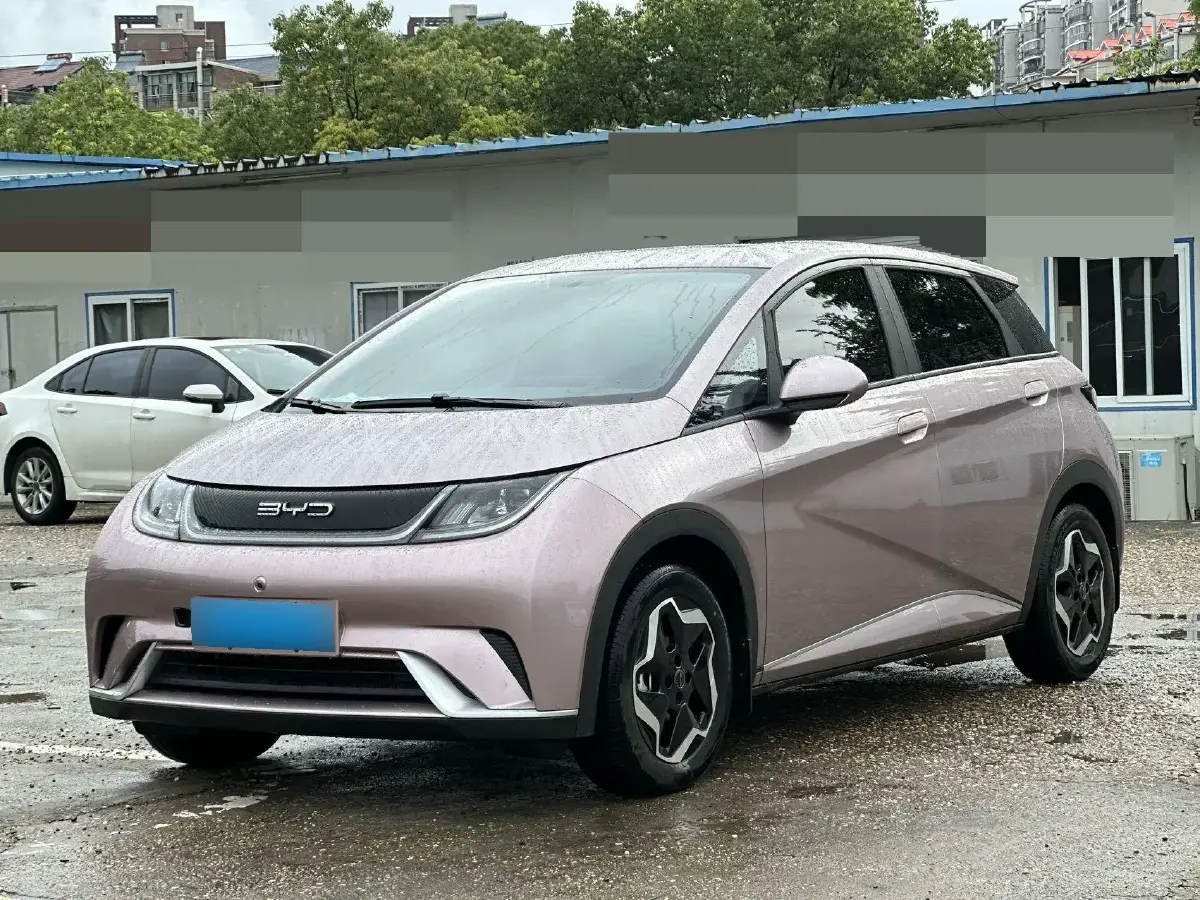 2021 BYD Dolphin BEV 44.9KWH