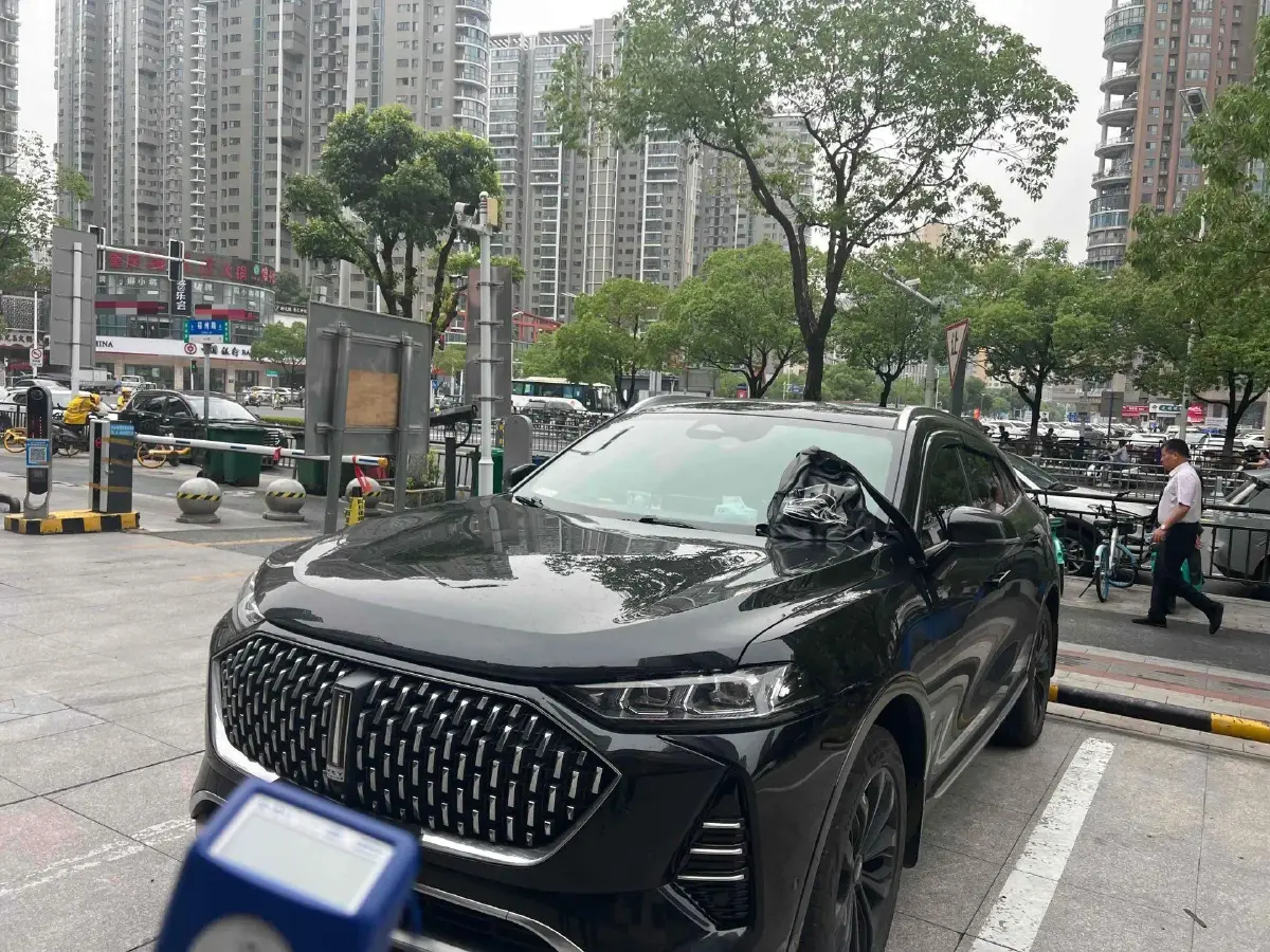 2021 WEY Mocha 2.0T 214HP L4 9DCT