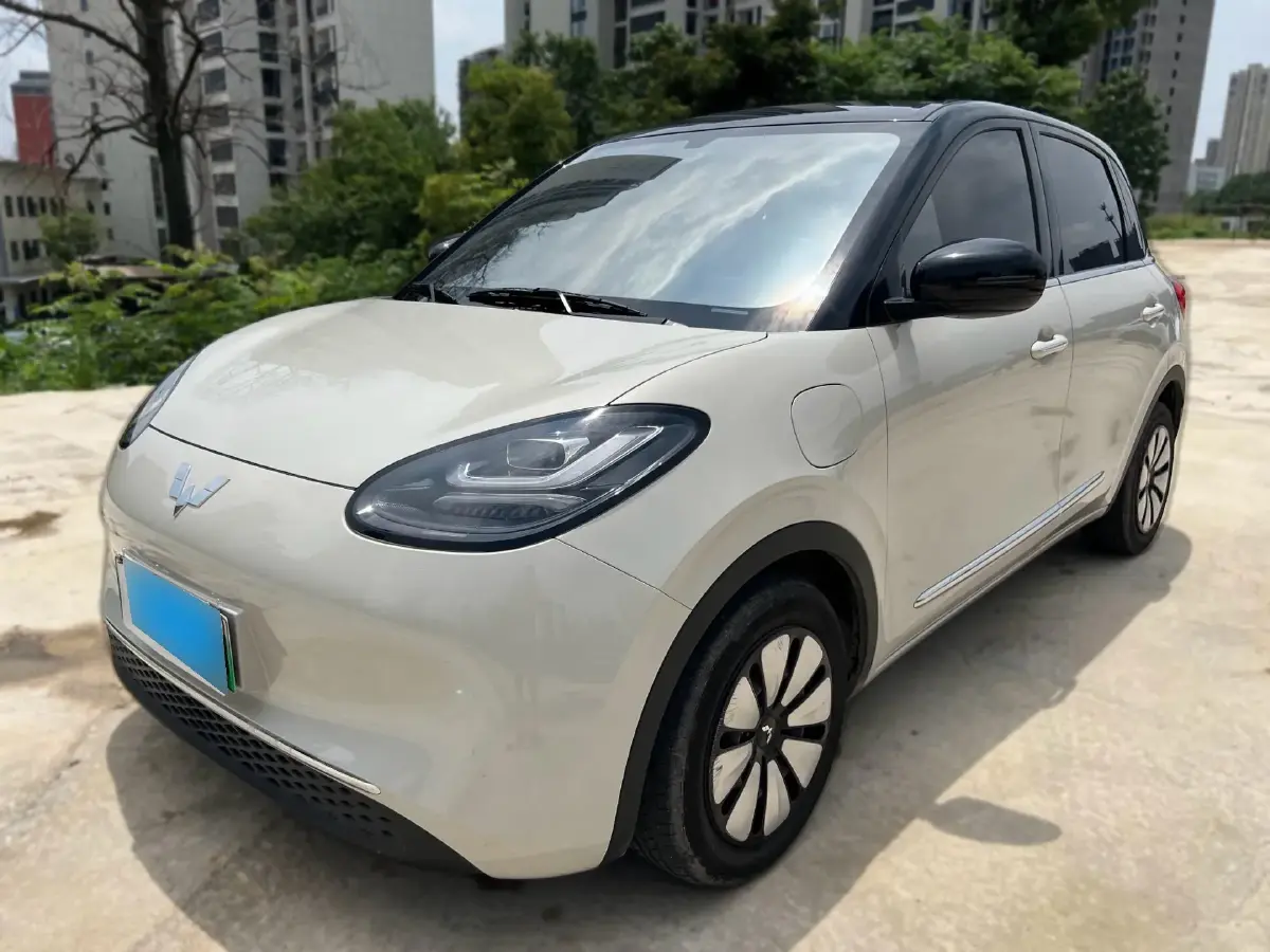 2025 WuLing BinGuo BEV