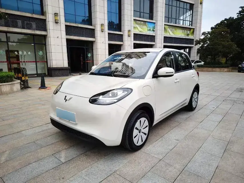 2024 WuLing BinGuo BEV 17.3KWH