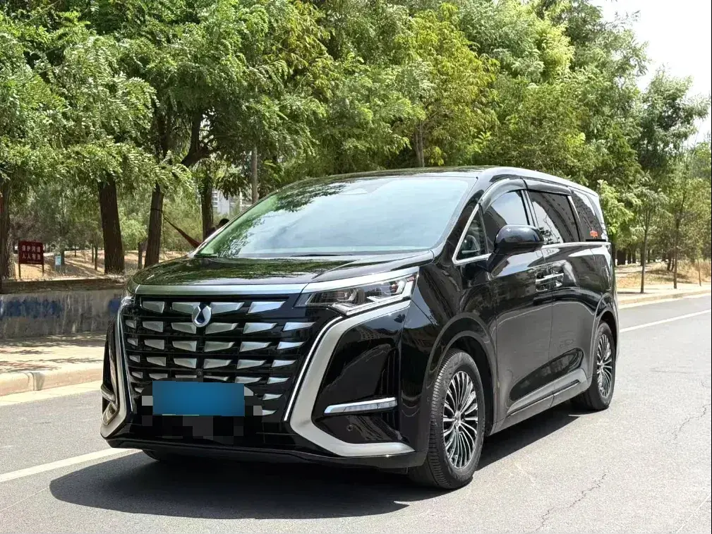 2022 Denza D9 1.5T 139HP L4 E-CVT PHEV 40.06KWH