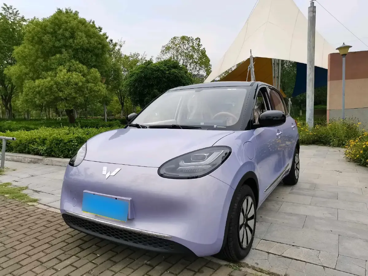 2025 WuLing BinGuo BEV