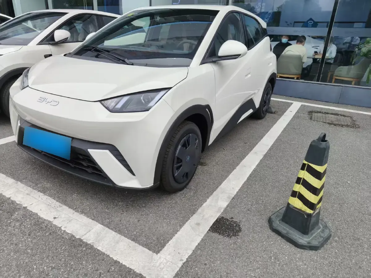 2025 BYD Seagull BEV 30.08KWH