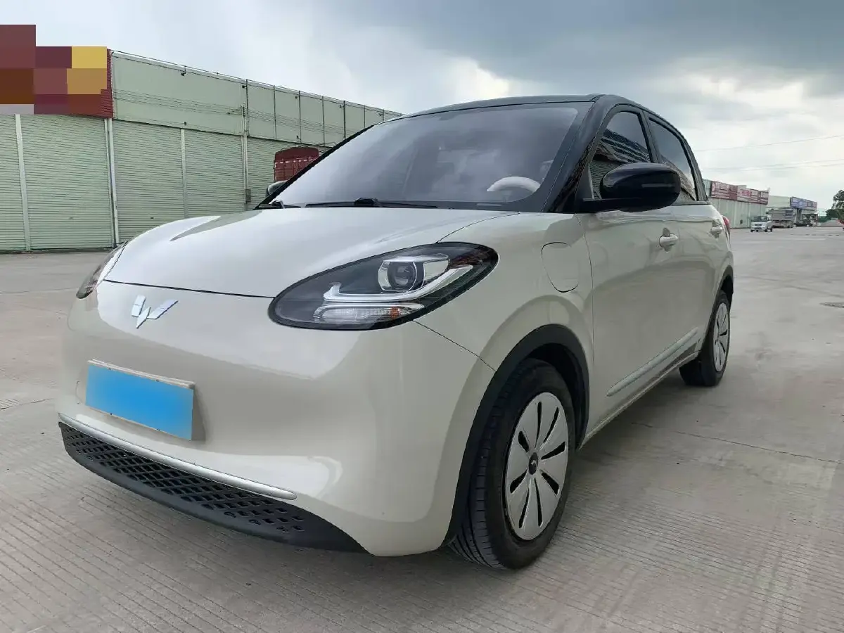 2023 WuLing BinGuo BEV 31.9KWH