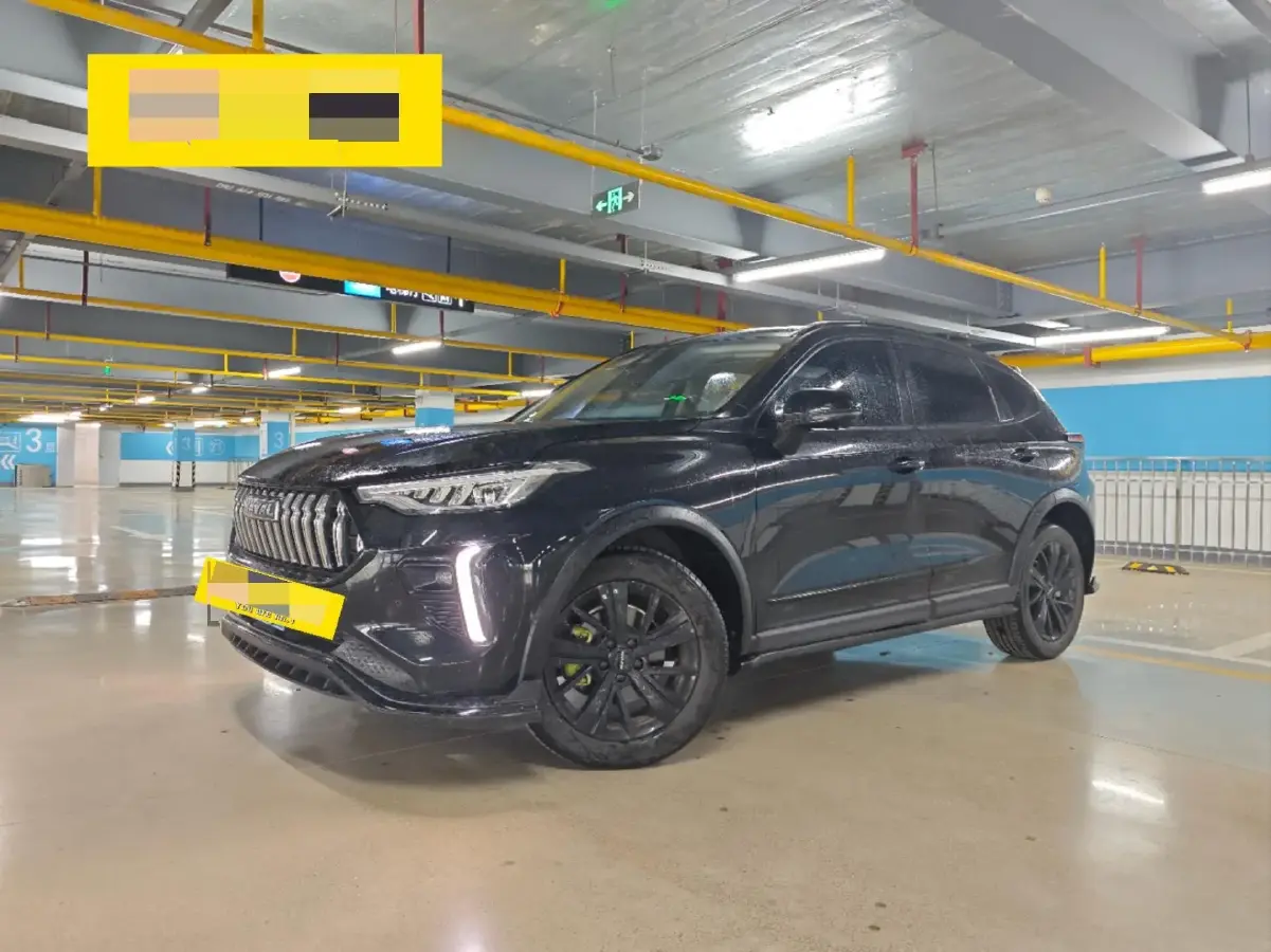 2021 Haval Rabbit 1.5T 184HP L4 7DCT