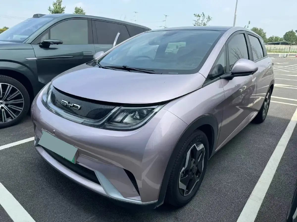 2021 BYD Dolphin BEV 44.9KWH