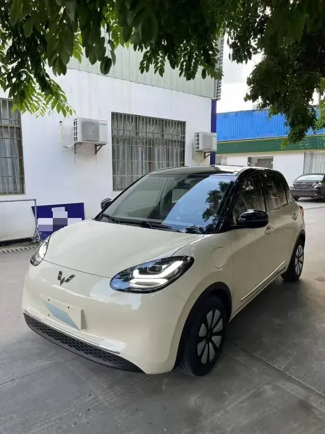 2025 WuLing BinGuo BEV