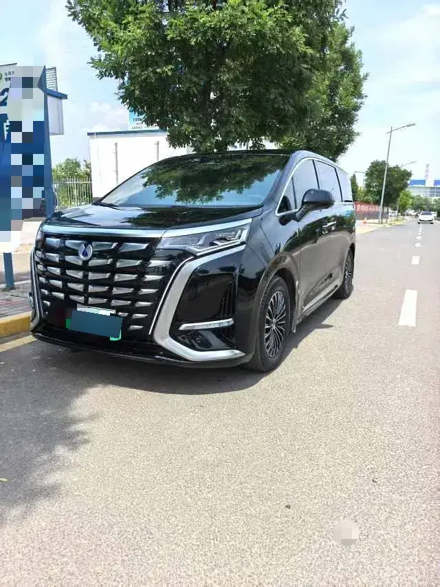 2022 Denza D9 1.5T 139HP L4 E-CVT PHEV 40.06KWH
