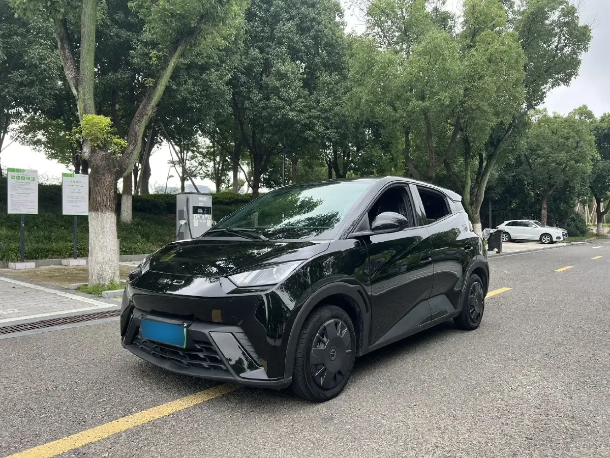 2023 BYD Seagull BEV 30.08KWH