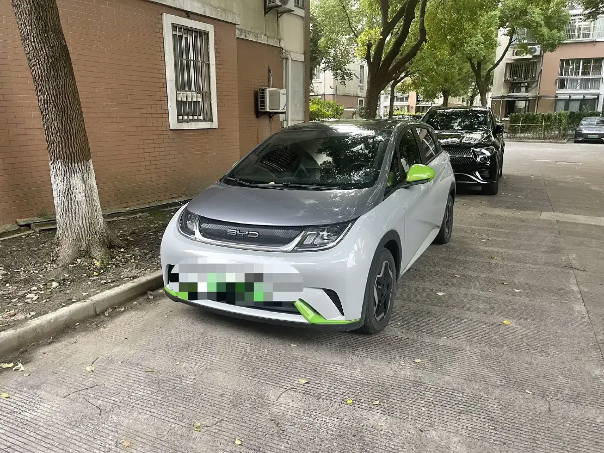 2021 BYD Dolphin BEV 44.9KWH