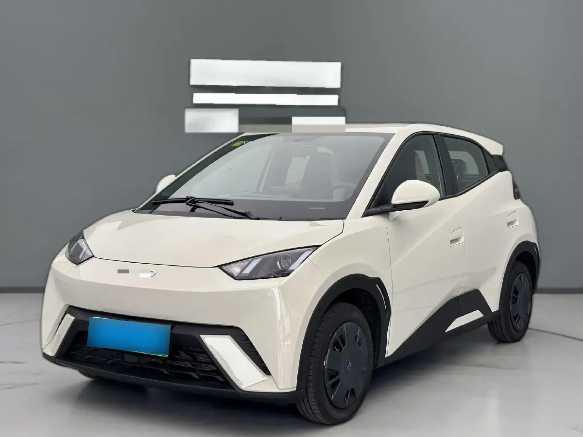 2025 BYD Seagull BEV 30.08KWH