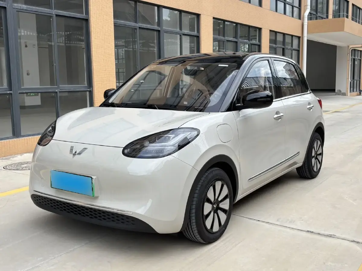 2025 WuLing BinGuo BEV