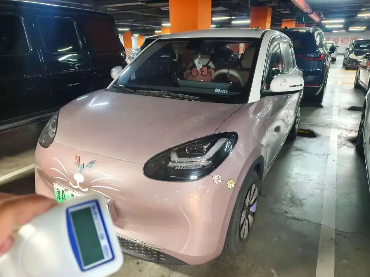 2023 WuLing BinGuo BEV 31.9KWH