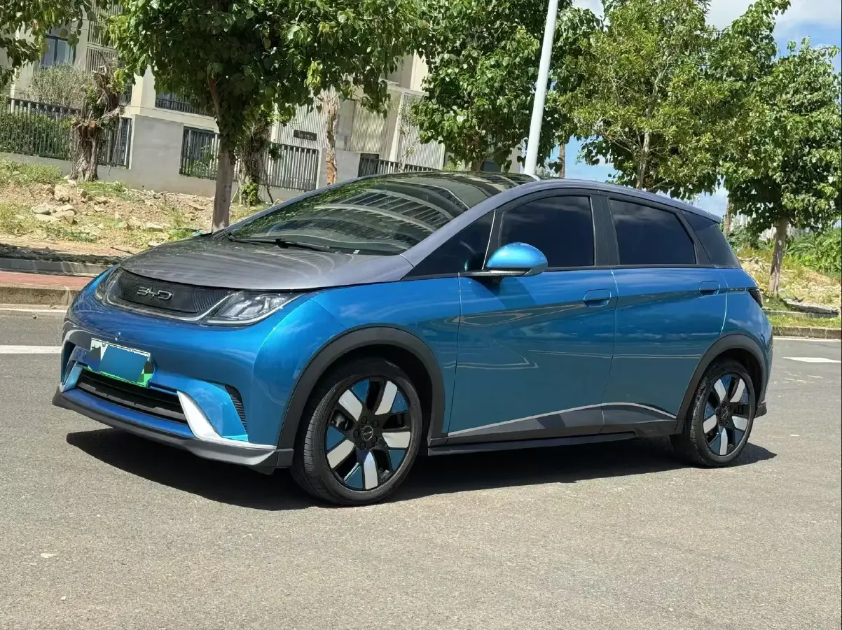 2021 BYD Dolphin BEV 44.9KWH