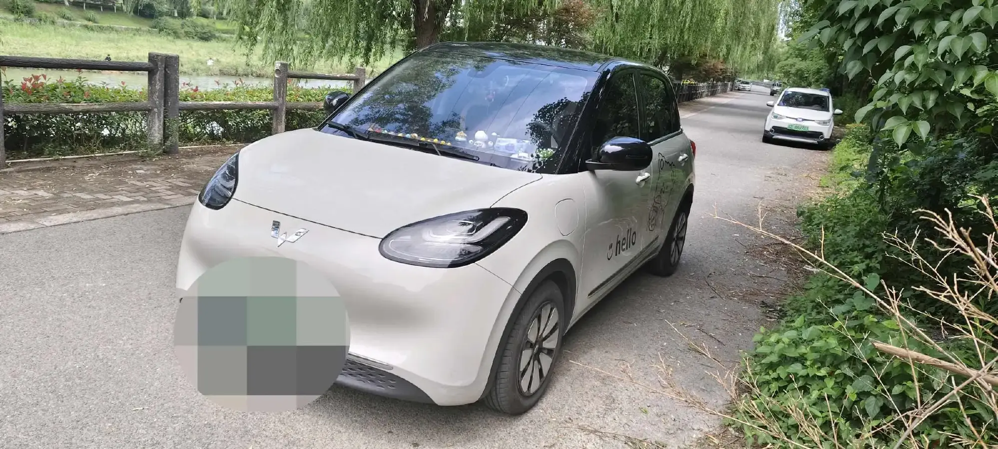 2023 WuLing BinGuo BEV 31.9KWH