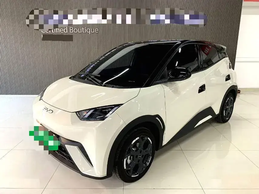 2025 BYD Seagull BEV 30.08KWH