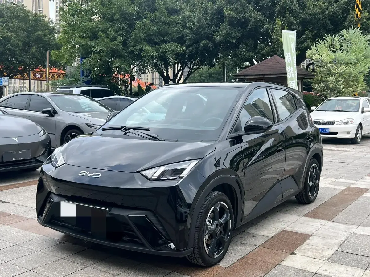 2024 BYD Seagull BEV 38.88KWH