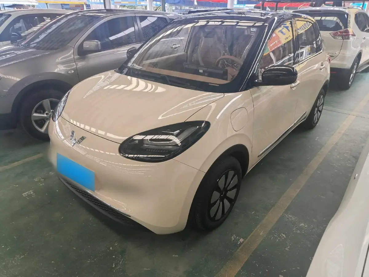 2025 WuLing BinGuo BEV
