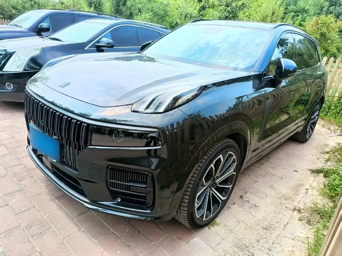 2021 LYNK&CO 09 2.0T 254HP L4 8AT