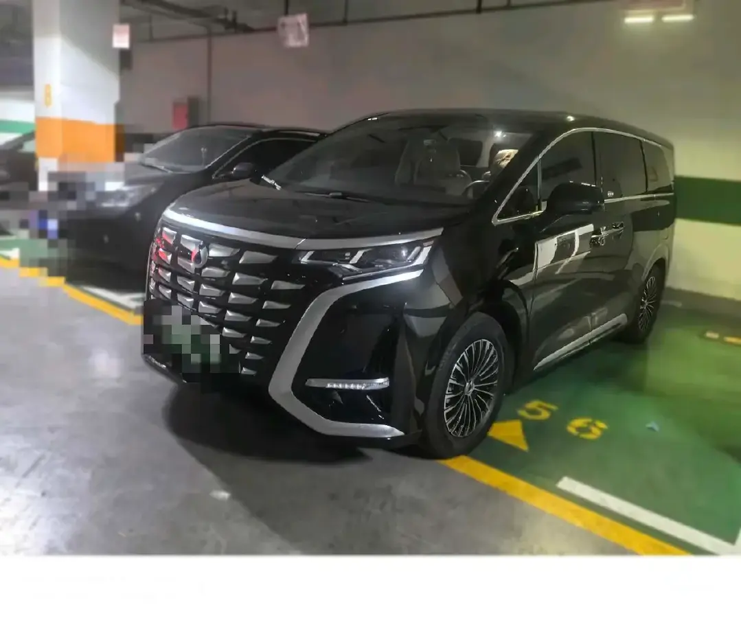 2022 Denza D9 1.5T 139HP L4 E-CVT PHEV 40.06KWH