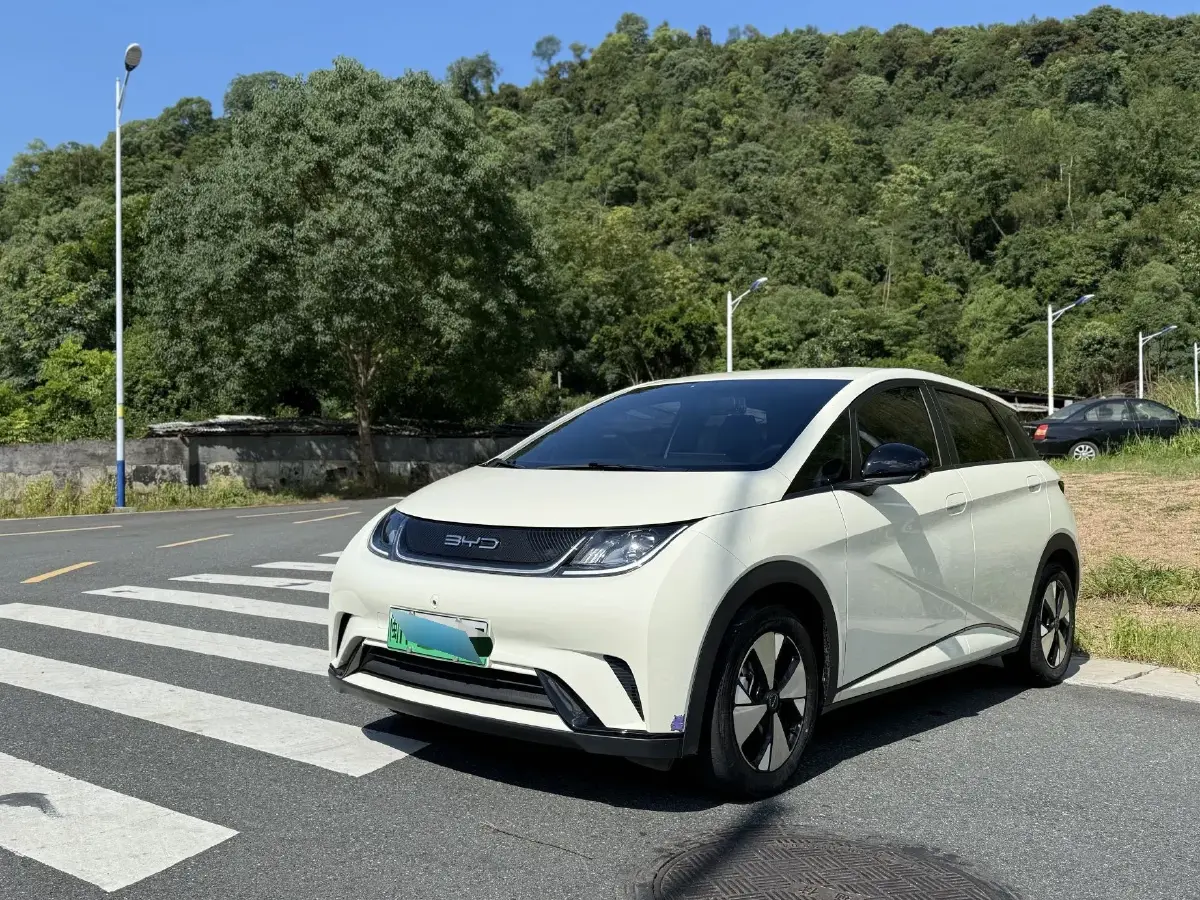 2023 BYD Dolphin BEV 44.928KWH