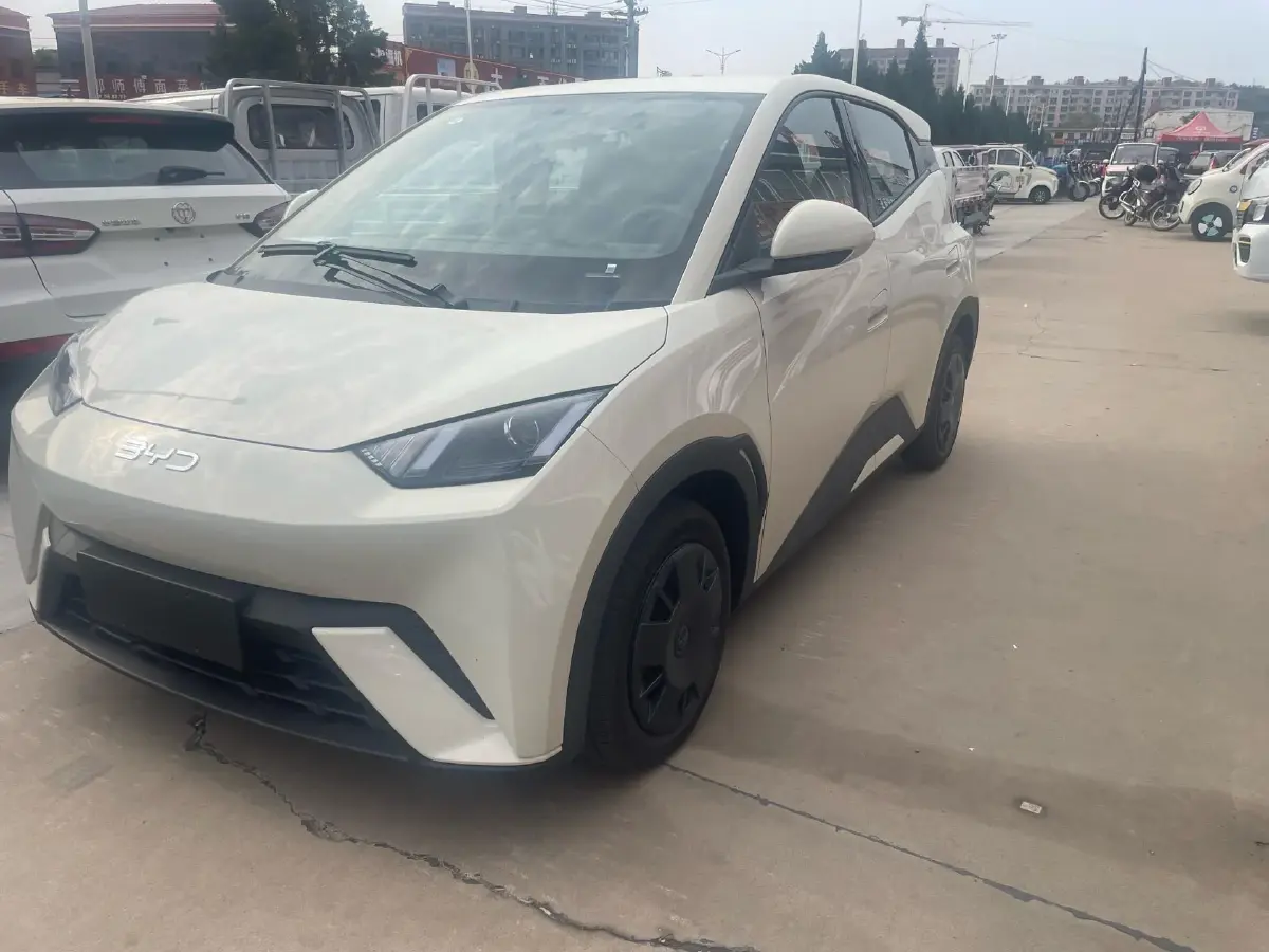 2025 BYD Seagull BEV 30.08KWH