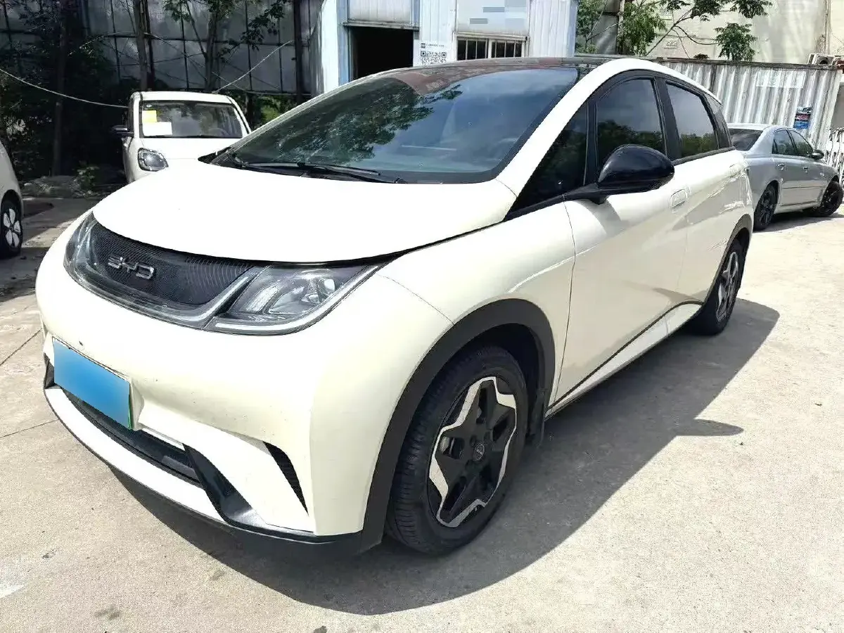 2021 BYD Dolphin BEV 44.9KWH