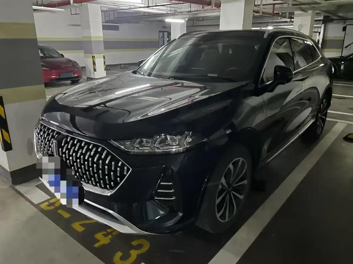 2021 WEY Mocha 2.0T 214HP L4 9DCT