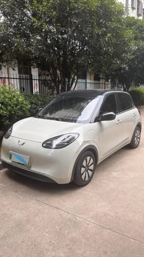 2023 WuLing BinGuo BEV 31.9KWH
