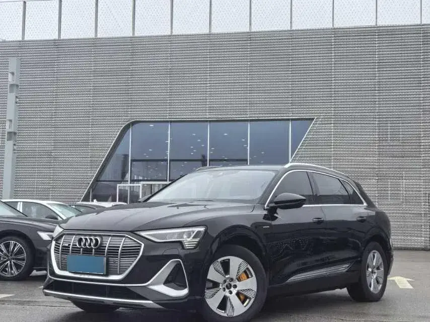 2021 Audi e-tron BEV 96.7KWH