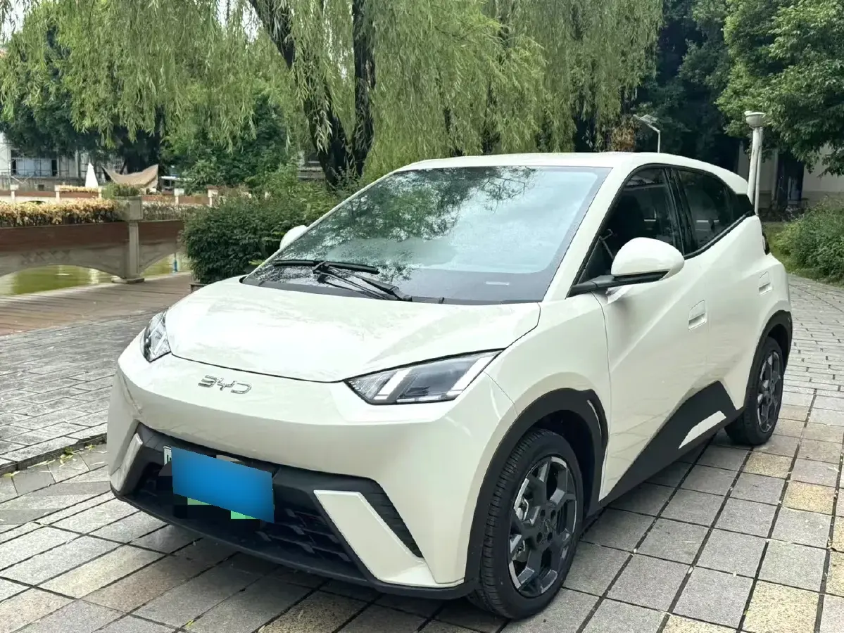 2024 BYD Seagull BEV 38.88KWH