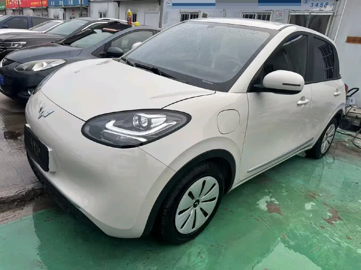 2023 WuLing BinGuo BEV 31.9KWH