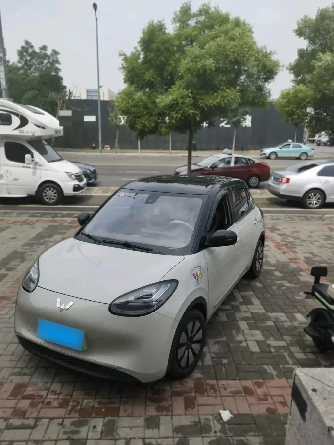 2023 WuLing BinGuo BEV 31.9KWH