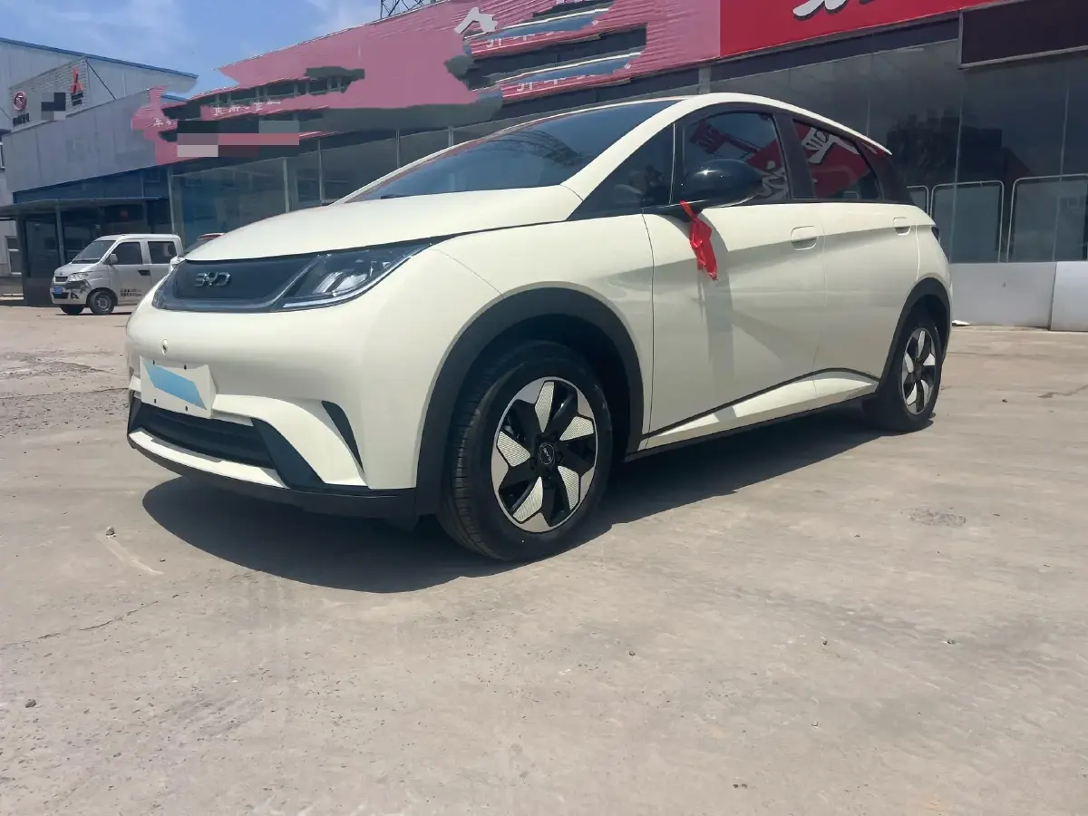 2025 BYD Dolphin BEV 44.928KWH