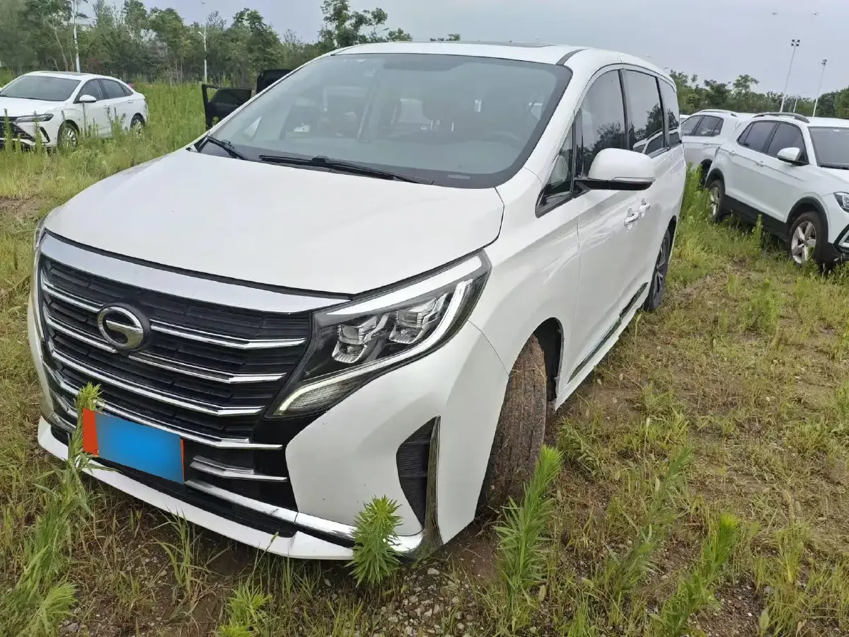 2021 GAC Trumpchi M8 2.0T 252HP L4 8AT