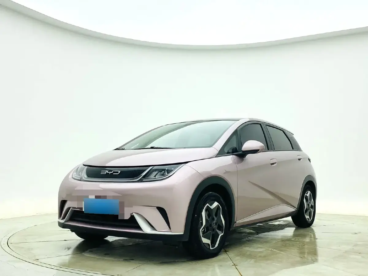 2021 BYD Dolphin BEV 44.9KWH