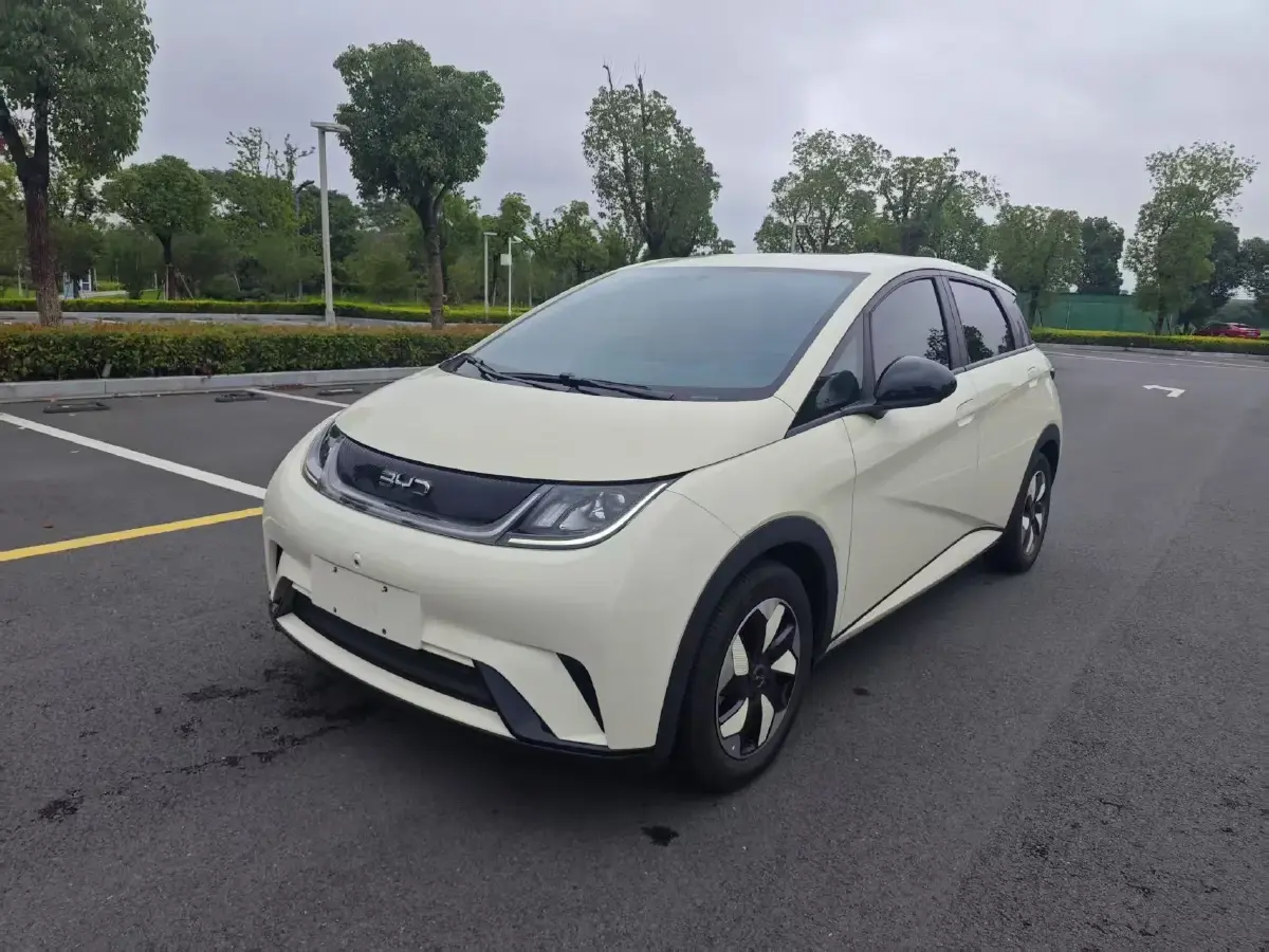 2024 BYD Dolphin BEV 44.928KWH