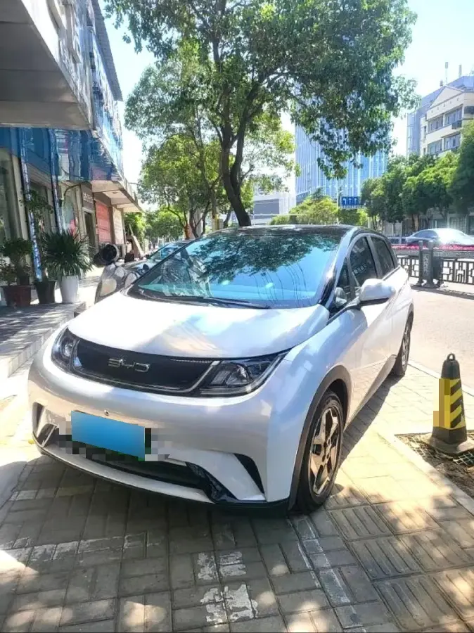 2021 BYD Dolphin BEV 44.9KWH