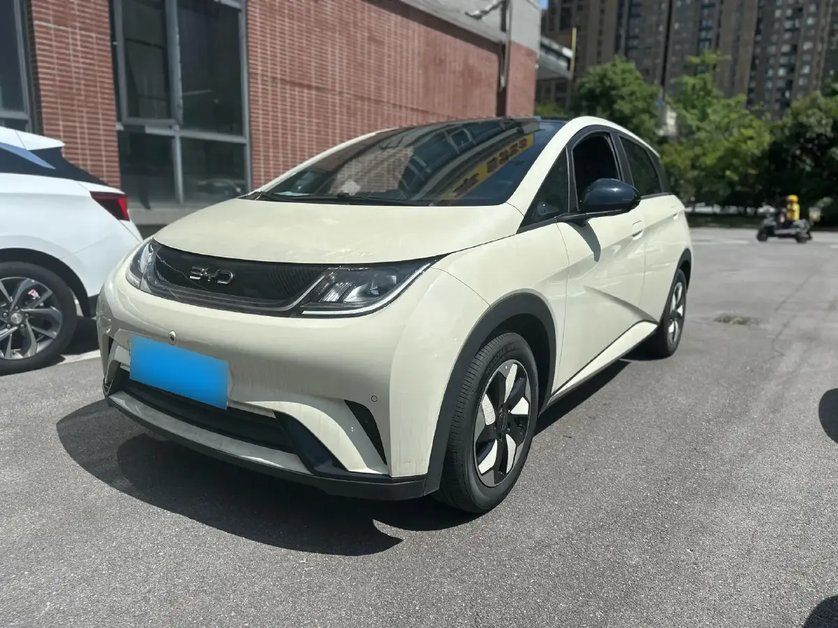 2024 BYD Dolphin BEV 44.928KWH
