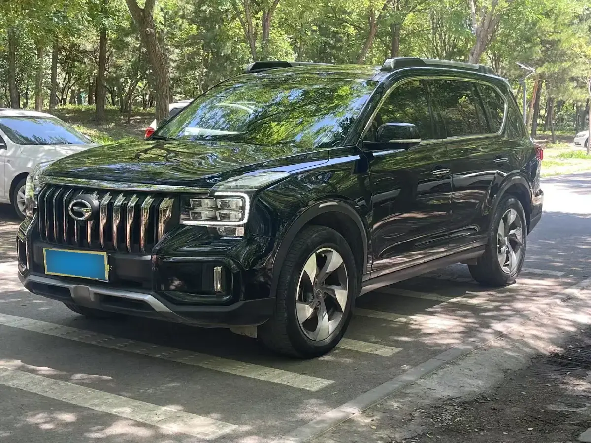 2020 GAC Trumpchi GS8 2.0T 252HP L4 6AT