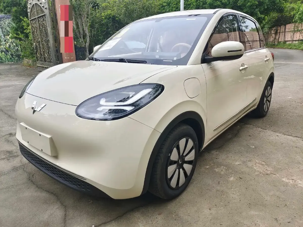 2025 WuLing BinGuo BEV
