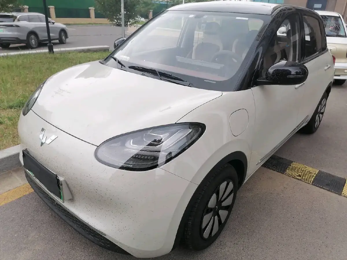 2024 WuLing BinGuo BEV 31.9KWH