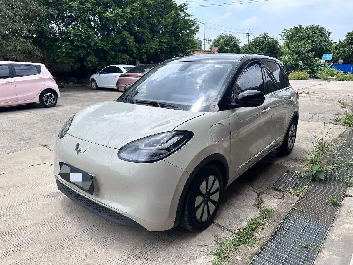2023 WuLing BinGuo BEV 31.9KWH