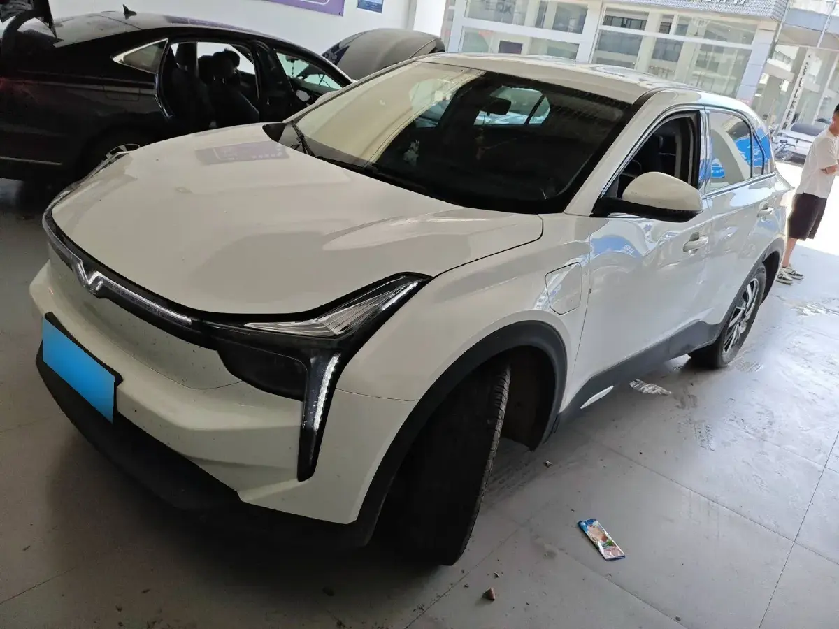 2022 Neta U BEV 55.8KWH