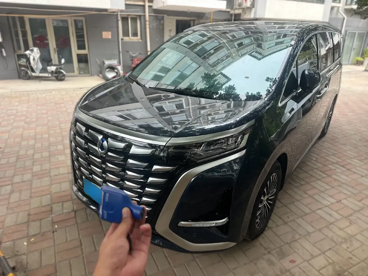 2022 Denza D9 1.5T 139HP L4 E-CVT PHEV 40.06KWH