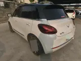 2024 WuLing BinGuo BEV 31.9KWH,autocango,china used car exporter,china ev exporter,chinese used car exporter,chinese used ev exporter