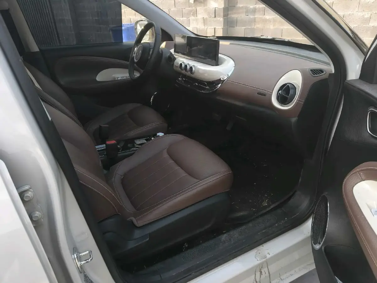2024 WuLing BinGuo BEV 31.9KWH,autocango,china used car exporter,china ev exporter,chinese used car exporter,chinese used ev exporter